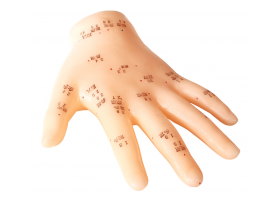 Chinesisches Akupunkturmodell Hand, Länge 8 cm