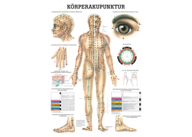 Körperakupunktur Lehrtafel 70 x 100 cm 